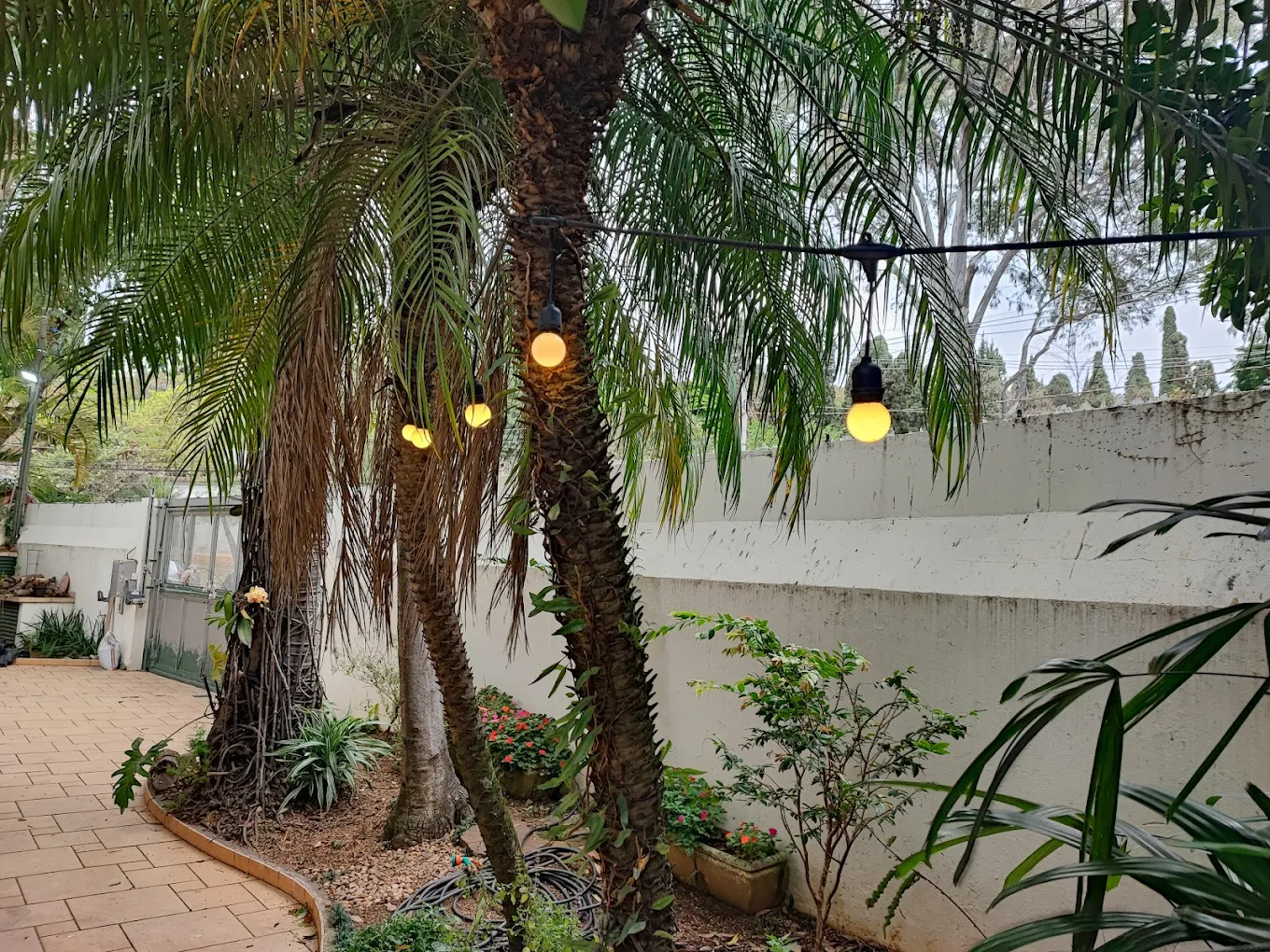 Instalação Festoon Lights